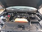 2018 Ford F-150 SuperCrew Cab 4x2 Pickup for sale #246385A - photo 5
