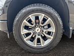2023 Chevrolet Silverado 1500 Crew Cab 4x4 Pickup for sale #255237B - photo 15