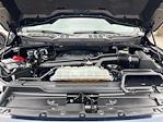 2023 Ford F-150 SuperCrew Cab 4WD Pickup for sale #255596A - photo 4