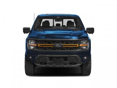 2025 Ford F-150 SuperCrew Cab 4x4 Pickup for sale #255849 - photo 2