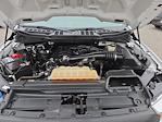 Used 2021 Ford F-150 XL Regular Cab for sale #256218A - photo 17