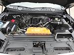 2017 Ford F-150 SuperCrew Cab 4WD Pickup for sale #256263A - photo 18