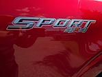 2022 Ford F-150 SuperCrew Cab 4WD Pickup for sale #P18543 - photo 16