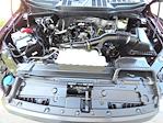2022 Ford F-150 SuperCrew Cab 4WD Pickup for sale #P18543 - photo 18