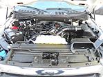 2023 Ford F-150 SuperCrew Cab 4WD Pickup for sale #P18649 - photo 4