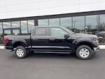 2024 Ford F-150 SuperCrew Cab 4x4, Pickup for sale #CR12224 - photo 3