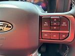 2025 Ford F-150 SuperCrew Cab 4x4 Pickup for sale #CR13407 - photo 18