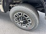 2025 Ford F-350 Crew Cab SRW 4x4 Pickup for sale #CR13569 - photo 6