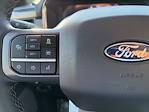 2025 Ford F-150 SuperCrew Cab 4WD Pickup for sale #CR13872 - photo 19