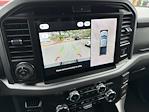 New 2025 Ford F-150 XLT SuperCrew Cab for sale #CR13876 - photo 13