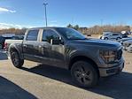 2025 Ford F-150 SuperCrew Cab 4WD Pickup for sale #CR13956 - photo 1