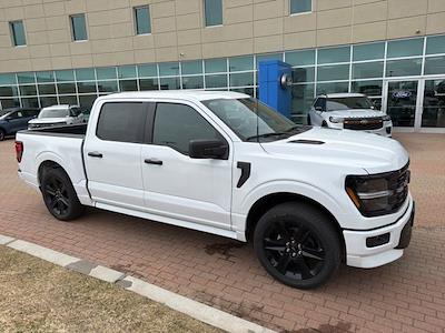 New 2025 Ford F-150 - photo 1