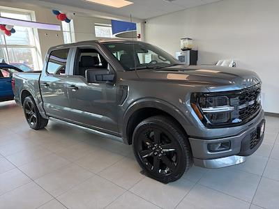 New 2025 Ford F-150 - photo 1