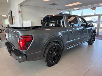 New 2025 Ford F-150 - photo 1