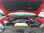 2022 Ford F-150 SuperCrew Cab 4WD Pickup for sale #NFC00681 - photo 32