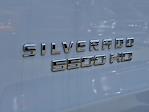 2024 Chevrolet Silverado 5500 Regular Cab DRW 4WD Landscape Dump for sale #N422480 - photo 18