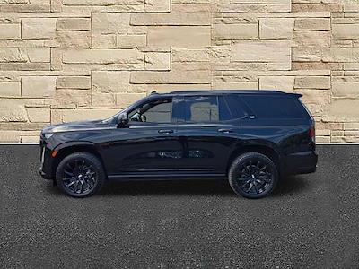 2023 Cadillac Escalade 4WD SUV for sale #P362709 - photo 2