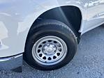 2025 Chevrolet Silverado 1500 Regular Cab RWD Pickup for sale #66960 - photo 12