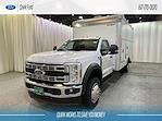 2024 Ford Super Duty F-550 DRW F-550® XL for sale #F210946 - photo 5