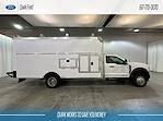 2024 Ford Super Duty F-550 DRW F-550® XL for sale #F210946 - photo 6