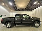 2024 Ford F-150 XLT for sale #F212072 - photo 6