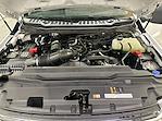 2024 Ford Super Duty F-250 SRW F-250® XLT for sale #F212164 - photo 11