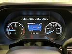 2024 Ford Super Duty F-550 DRW F-550® XL for sale #F212172 - photo 17