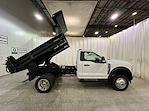 2024 Ford Super Duty F-550 DRW F-550® XL for sale #F212172 - photo 21