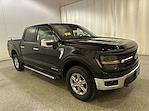 New 2025 Ford F-150 XLT SuperCrew Cab 4x4 Pickup for sale #F212742 - photo 1