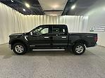 2025 Ford F-150 XLT for sale #F212745 - photo 7