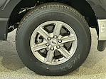 2025 Ford F-150 XLT for sale #F212745 - photo 10