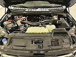 2025 Ford F-150 XLT for sale #F212745 - photo 11