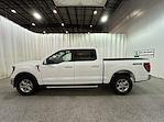 New 2025 Ford F-150 XLT SuperCrew Cab 4x4 Pickup for sale #F212811 - photo 7