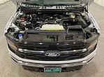 New 2025 Ford F-150 XLT SuperCrew Cab 4x4 Pickup for sale #F212811 - photo 11