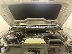 New 2025 Ford F-150 XLT SuperCrew Cab 4x4 Pickup for sale #F212828 - photo 11