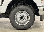 2025 Ford Super Duty F-350 DRW XL for sale #F212856 - photo 10