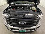 2025 Ford Super Duty F-250 SRW F-250® XL for sale #F212871 - photo 11