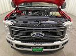 2025 Ford Super Duty F-250 SRW F-250® XL for sale #F212873 - photo 11