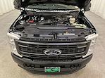 2025 Ford Super Duty F-350 DRW F-350® XL for sale #F212877 - photo 11