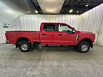 2025 Ford Super Duty F-250 SRW F-250® XL for sale #F212921 - photo 6