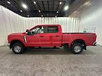 2025 Ford Super Duty F-250 SRW F-250® XL for sale #F212921 - photo 7