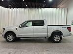 New 2025 Ford F-150 XLT SuperCrew Cab 4x4 Pickup for sale #F213004 - photo 7