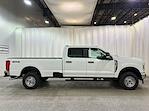 2025 Ford Super Duty F-350 SRW F-350® XL for sale #F213023 - photo 6