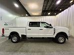 2025 Ford Super Duty F-350 SRW F-350® XL for sale #F213032 - photo 6