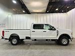 2025 Ford Super Duty F-350 SRW F-350® XL for sale #F213033 - photo 6
