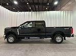 2025 Ford Super Duty F-250 SRW F-250® XL for sale #F213036 - photo 7