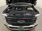 2025 Ford Super Duty F-250 SRW F-250® XL for sale #F213036 - photo 11