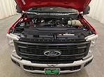 2025 Ford Super Duty F-250 SRW F-250® XL for sale #F213083 - photo 11