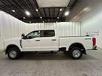 2025 Ford Super Duty F-250 SRW F-250® XL for sale #F213086 - photo 7