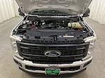 2025 Ford Super Duty F-250 SRW F-250® XL for sale #F213086 - photo 11